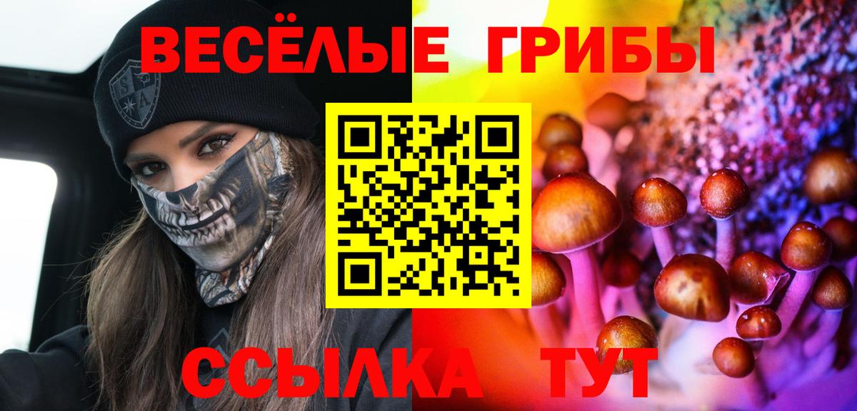 Галлюциногенные грибы Psilocybe  Галлюциногенные грибы Magic Shrooms  Дзержинский  Вход с VPN 