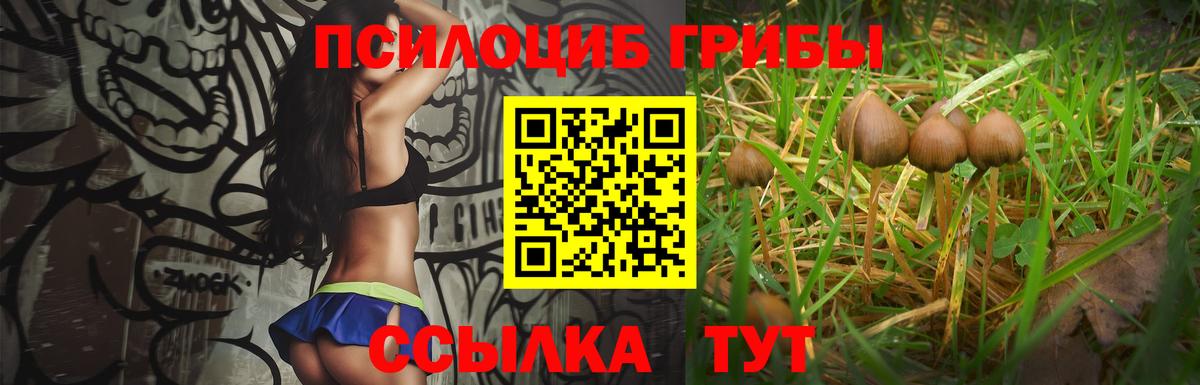 Псилоцибиновые грибы Psilocybine cubensis Дзержинский