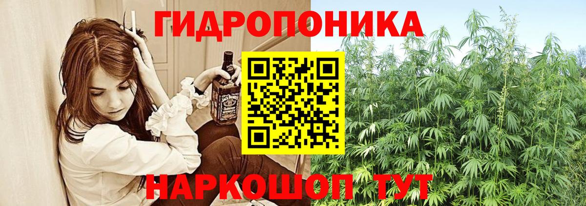 Шишки марихуана планчик Дзержинский